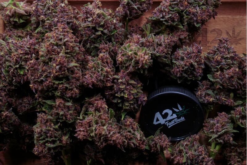 Purple Haze Auto, Фасовка: 3, изображение 5